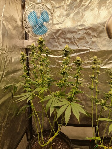 Growreport Bild 19