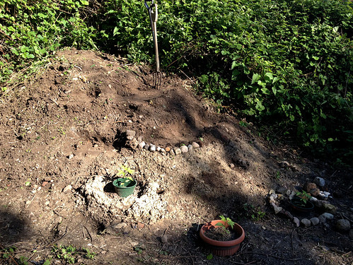 Growreport Bild 17