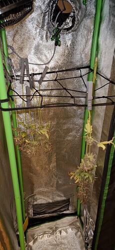 Growreport Bild 13