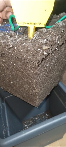 Growreport Bild 4