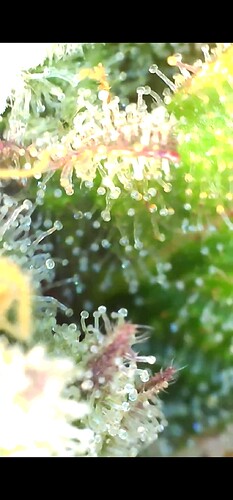 Growreport Bild 14