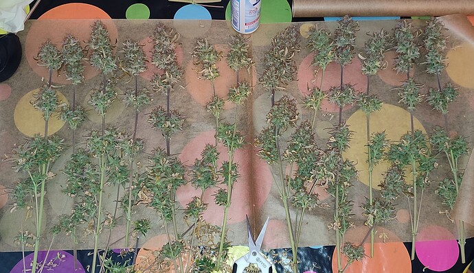 Growreport Bild 2
