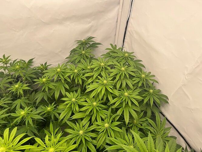 Growreport Bild 7