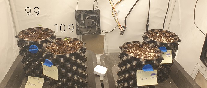 Growreport Bild 15