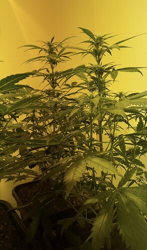Growreport Bild 12