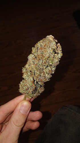 Growreport Bild 5