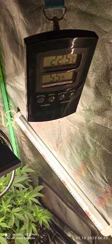 IMG-20231002-WA0009