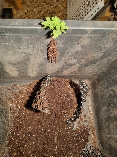 Growreport Bild 18