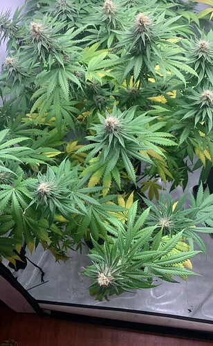 Growreport Bild 12