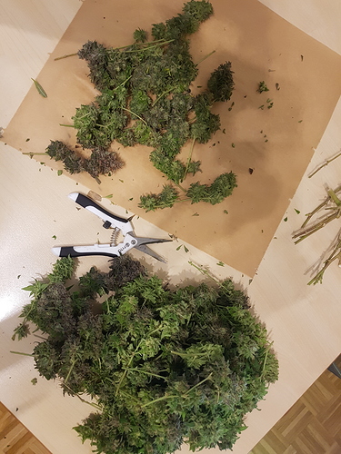 Growreport Bild 4
