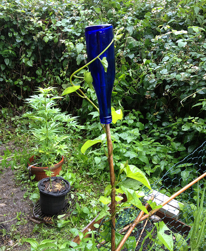 Growreport Bild 10