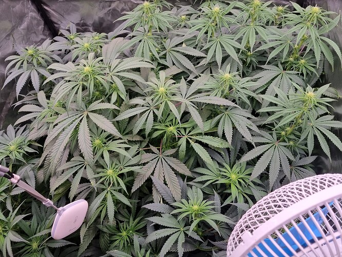 Growreport Bild 17
