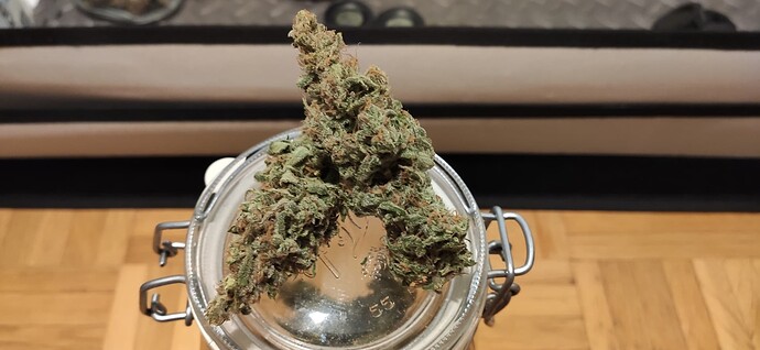 Growreport Bild 3