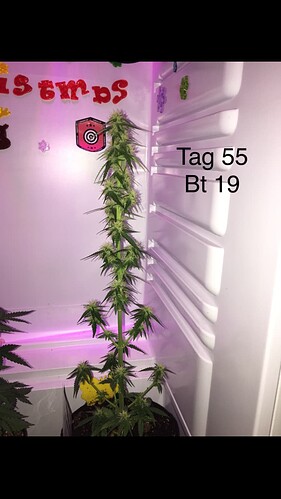 Growreport Bild 8