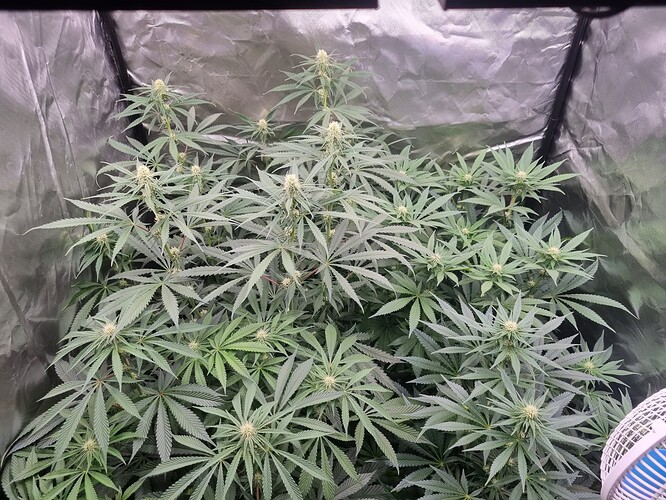 Growreport Bild 10