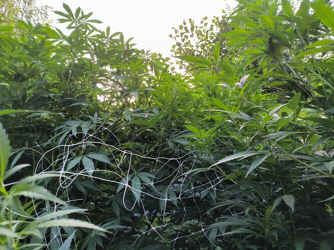 Growreport Bild 2