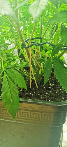 Growreport Bild 19