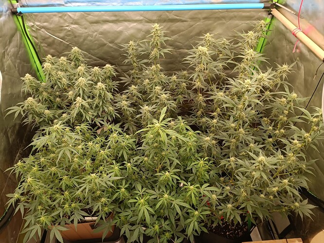 Growreport Bild 16