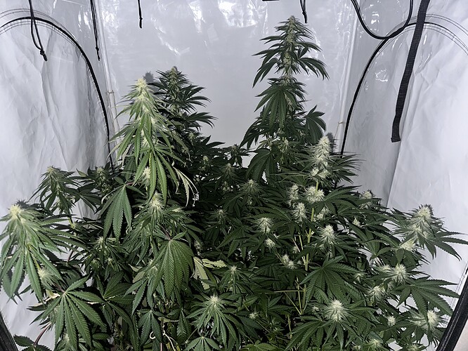 Growreport Bild 10