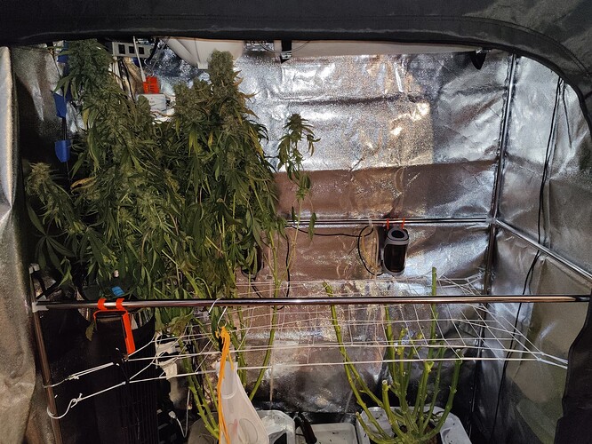 Growreport Bild 32