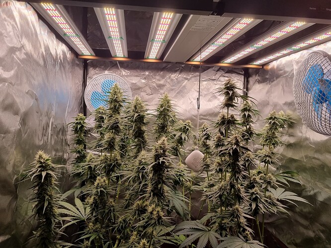Growreport Bild 16
