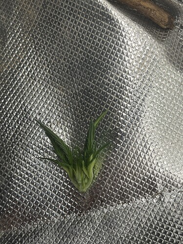 Growreport Bild 21