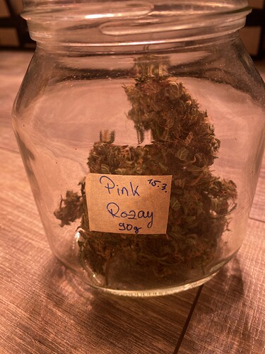 Growreport Bild 3