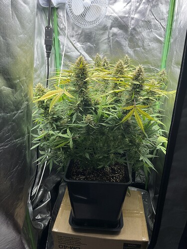 Growreport Bild 8