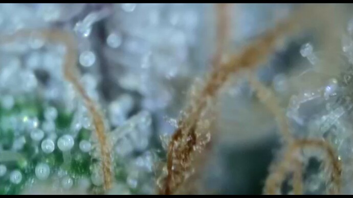 2022-06-15-000542757