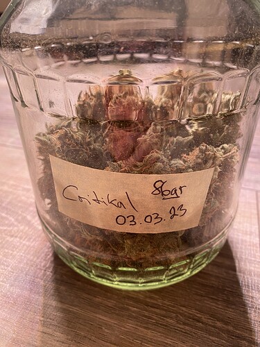 Growreport Bild 2