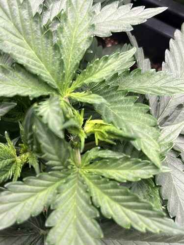Growreport Bild 7