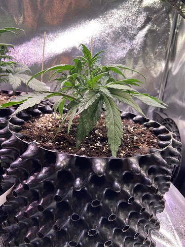 Growreport Bild 19