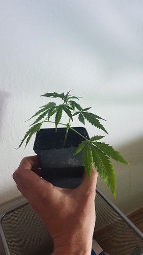 Growreport Bild 10