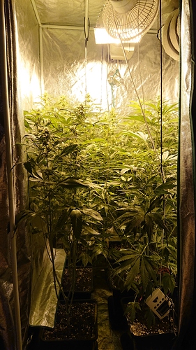 Growreport Bild 9