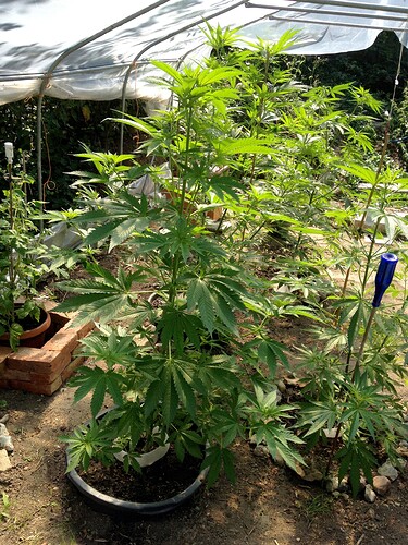 070_SiebterSiebter_14