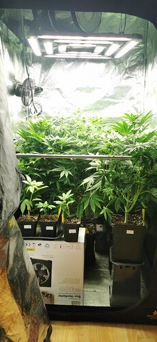 Growreport Bild 19