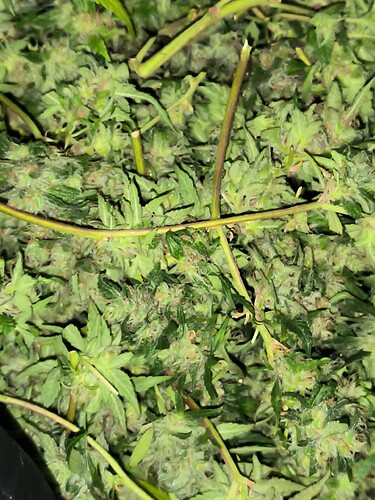 Growreport Bild 10