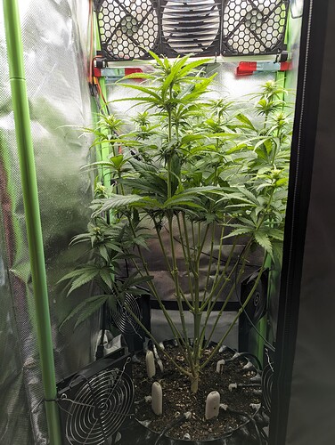 Growreport Bild 12