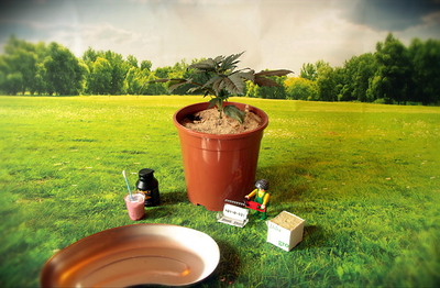 Growreport Bild 4