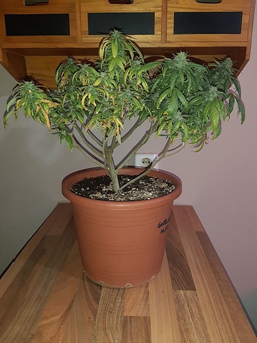 Growreport Bild 4