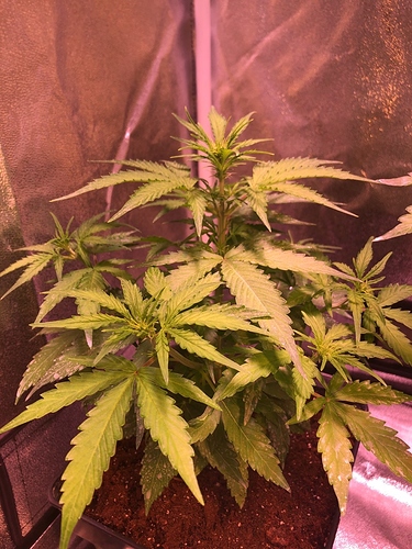 Growreport Bild 18
