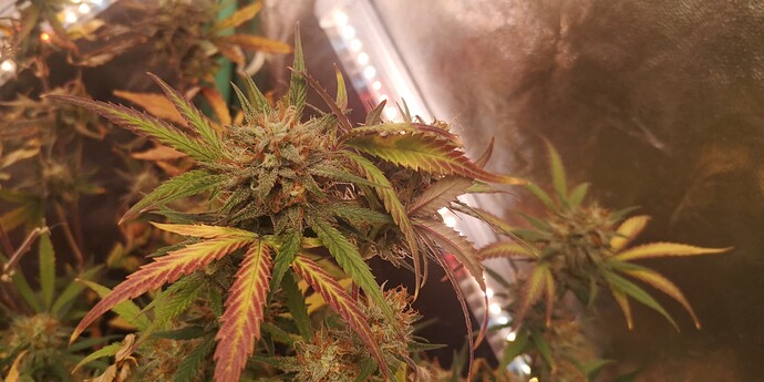 Growreport Bild 16