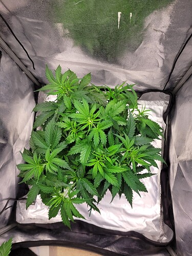 Growreport Bild 2