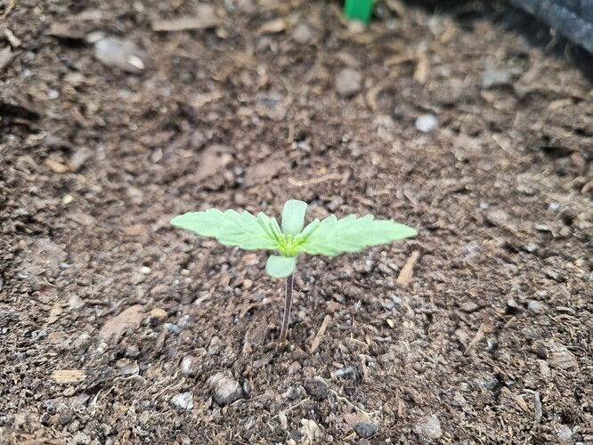 Growreport Bild 18