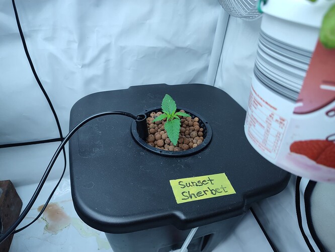Growreport Bild 14