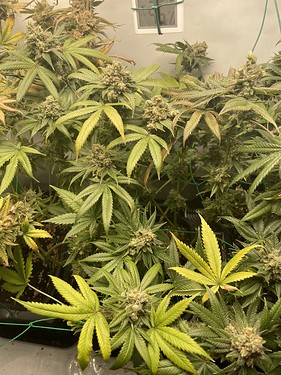 Growreport Bild 8