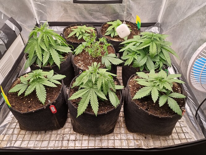 Growreport Bild 14