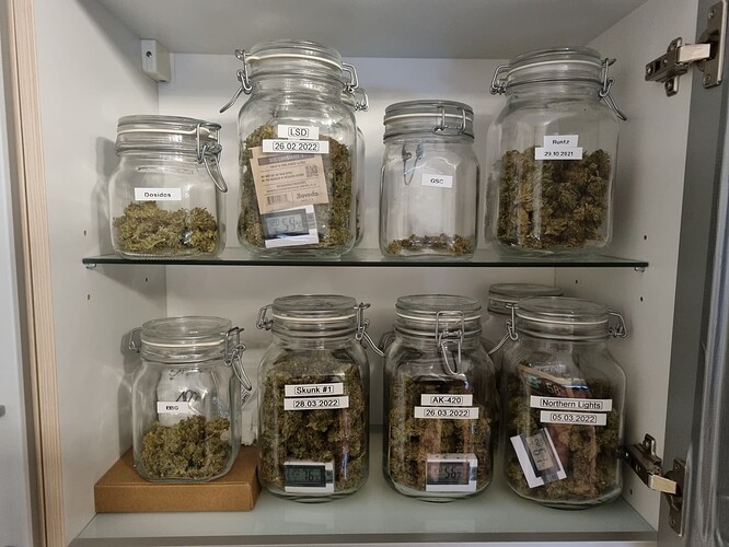 Growreport Bild 6