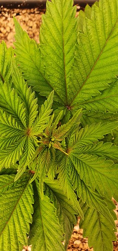 Growreport Bild 12