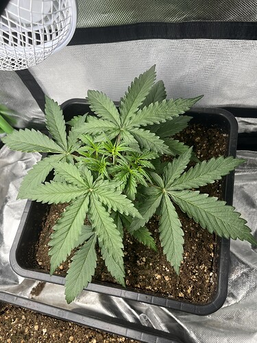 Growreport Bild 18